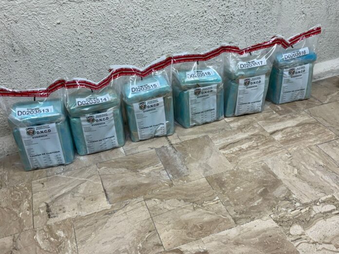 DNCD frustra envío de 30 paquetes presumiblemente cocaína a Alemania