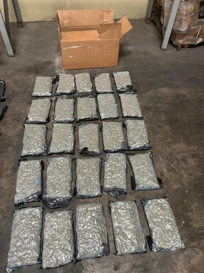 DNCD incauta en el AILA otros 98 paquetes de marihuana DNCD incauta en el AILA otros 98 paquetes de marihuana