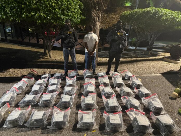 DNCD desarticula red de tráfico de drogas e incauta 209 libras de marihuana, vehículos y un arma de fuego
