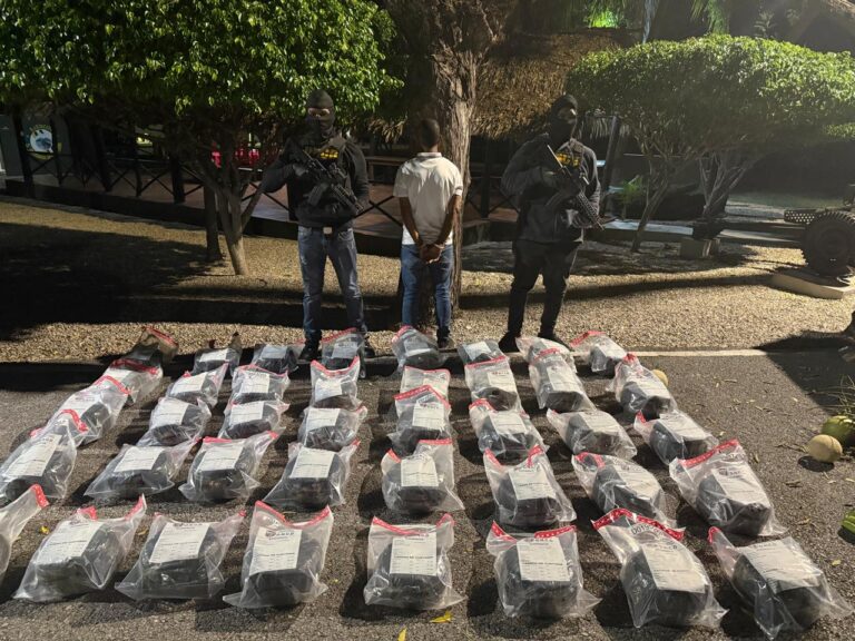 DNCD desarticula red de tráfico de drogas e incauta 209 libras de marihuana, vehículos y un arma de fuego