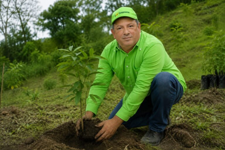 COOPNAMA «siembra futuro»: Cooperativa despliega jornada nacional de reforestación por el Día del Medio Ambiente